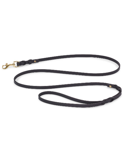 ⑤ MiaCara｜Rimini City-Leash